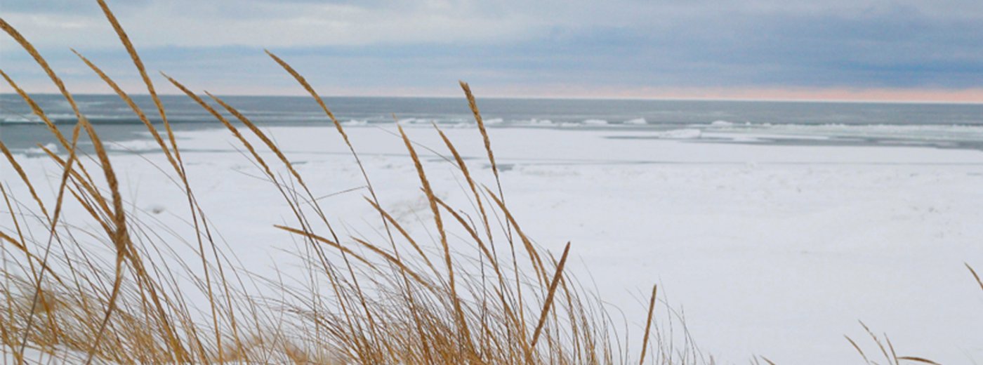 Scan danish beach winter