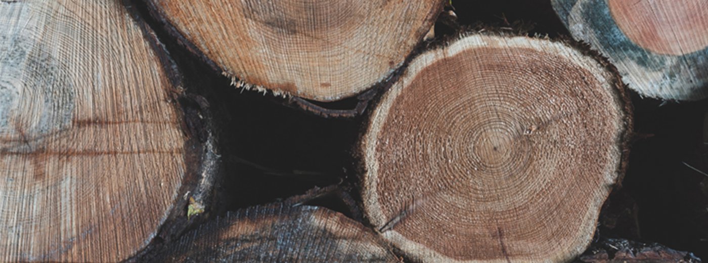 Wood stack